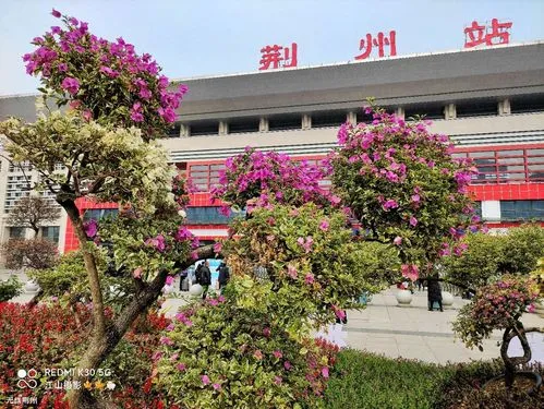 古镇到荆州物流专线-古镇到荆州货运-卡班运输